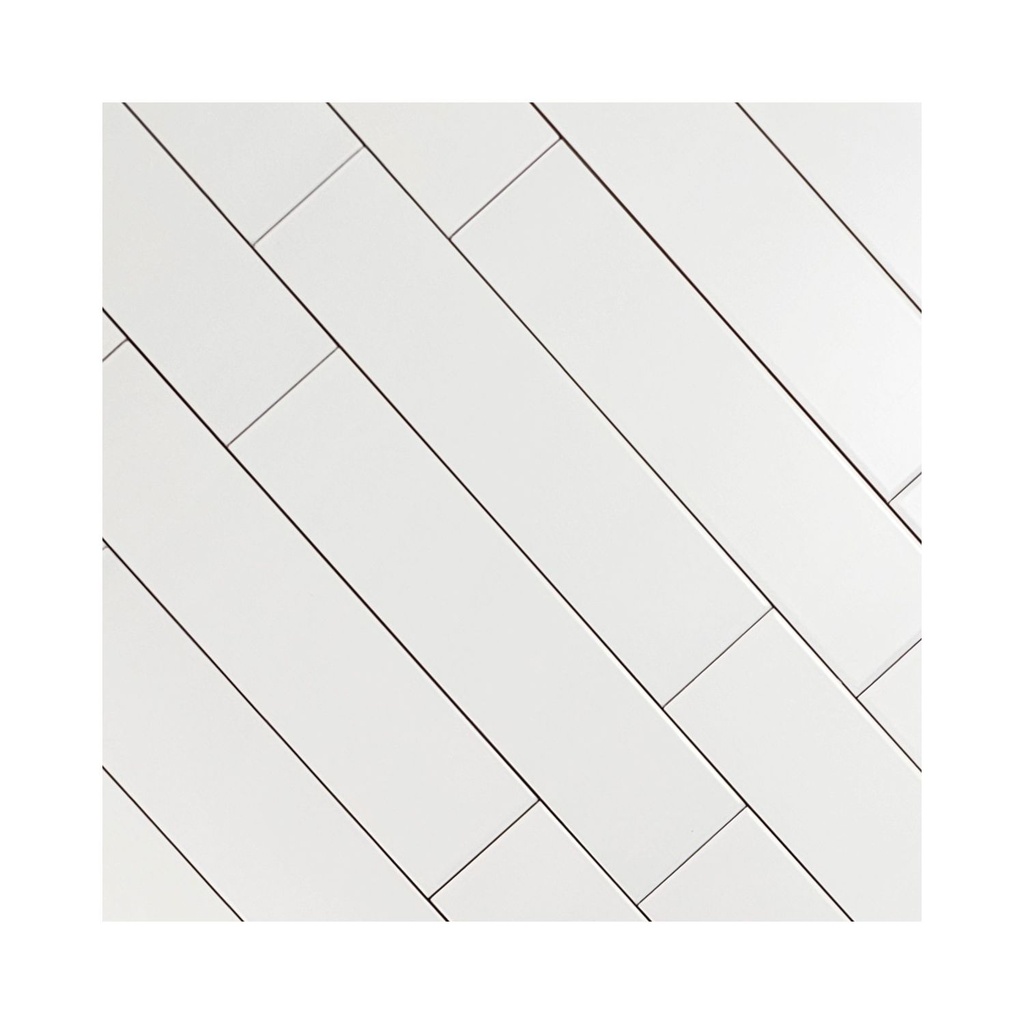 Cerámica Monocolor Blanco Mate Liso 10x20 cm