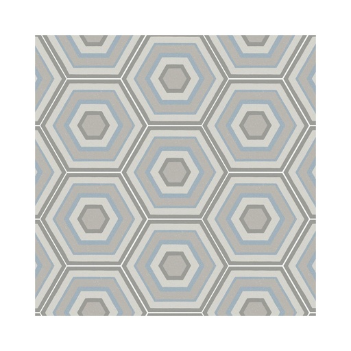 [F923] Porcelanato Paprica Par P1 Col Mate Rectificado 25x21,6 cm