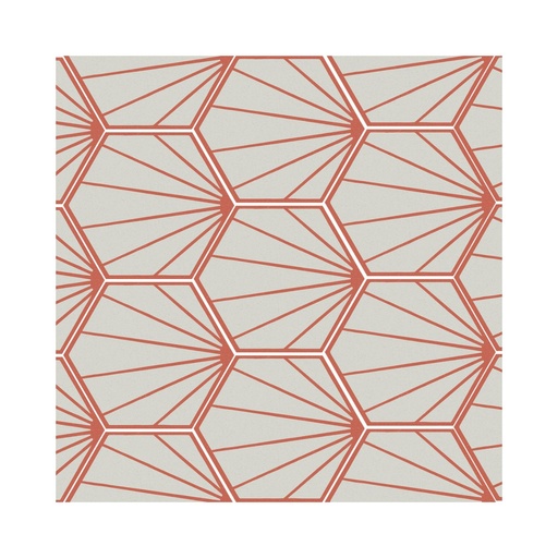 [F925] Porcelanato Paprica Par P3 Col Mate Rectificado 25x21,6 cm