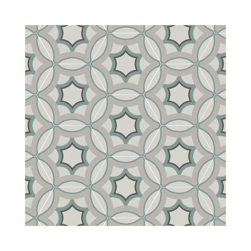 [F926] Porcelanato Paprica Par P4 Col Mate Rectificado 25x21,6 cm